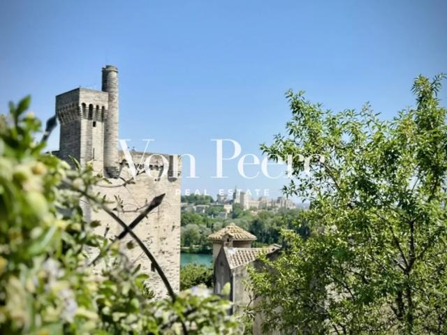 Charmante maison de village avec vue sur le Palais des Papes et la Tour Philippe le Bel