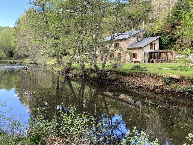 Charmante maison en pierre située sur la commune de Nedde, d. 80m² Nedde