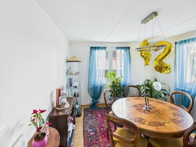 Charmante maison individuelle avec grand jardin et vue sur le lac selon la saison | dreamo. Ch