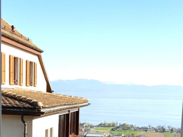 Charmante maison individuelle de 5.5 pièces avec vue sur le lac