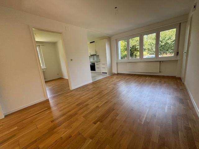Charmante renovierte Wohnung ruhig und modern | dreamo. Ch