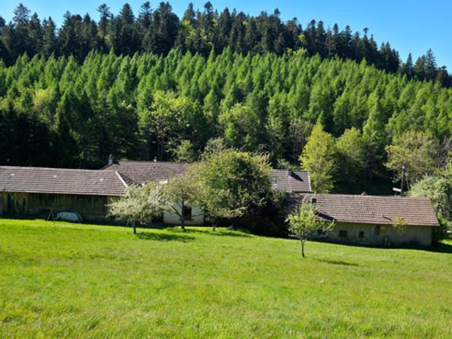 Charmante propriété de caractère sur 1,13 hectare