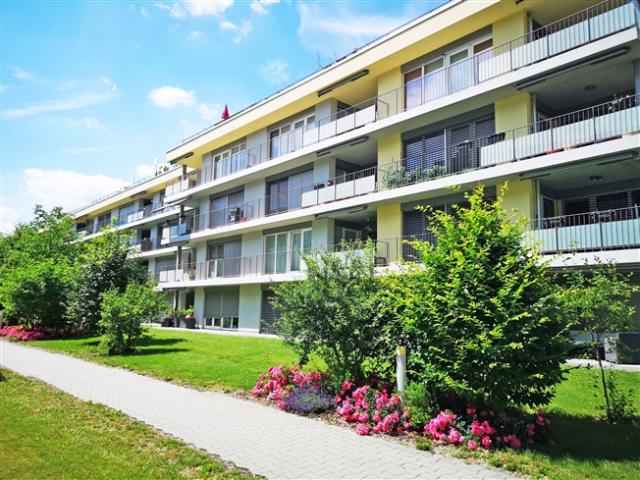 Charmante Wohnung im Grünen