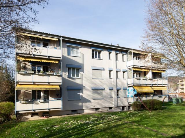 Charmante Wohnung in grüner Umgebung