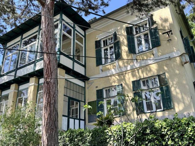 Charmante Wienerwaldvilla in der Hinterbrühl – Ein Refugium mit außergewöhnlichem Potenzial | ZΞLLMANN IMMOBILIEN