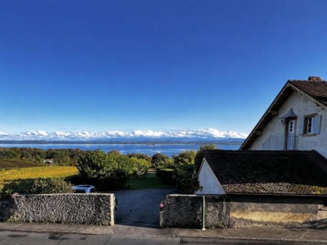 Charmante und geräumige renovierte Wohnung mit Terrasse