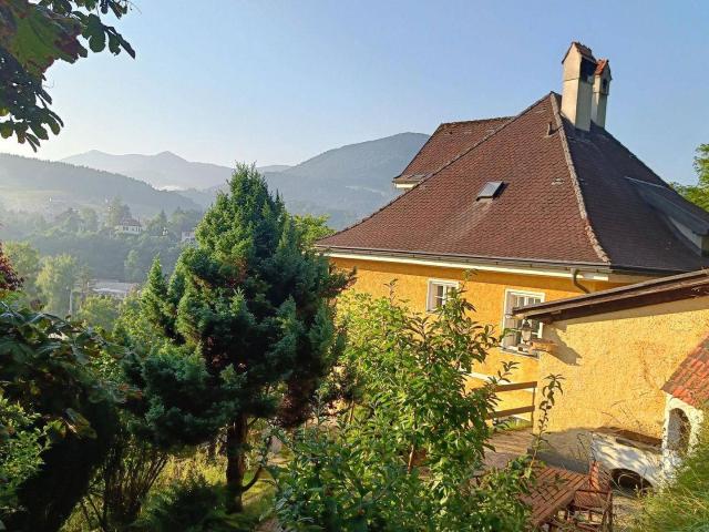 Charmante Villa im Schönbrunnstil mit Einliegerwohnung zu vermieten