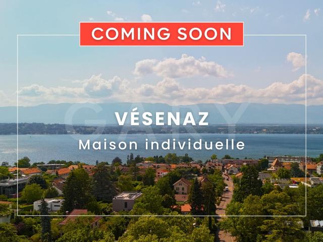 Charmante villa individuelle au coeur de Vésenaz | dreamo. Ch
