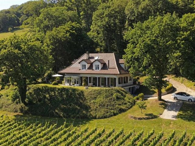 Charmante Villa mit Panoramablick auf den Neuchâtelsee