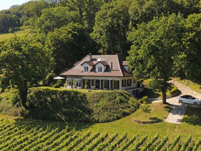 Charmante Villa mit Panoramablick auf den Neuchâtelsee