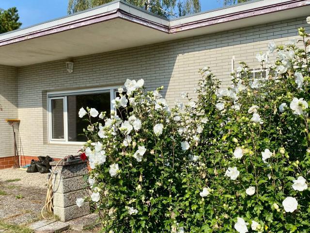 „Charmanter Reihenendbungalow mit Entwicklungspotenzial in Berlin Lankwitz“