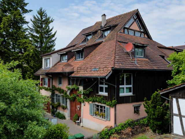 Charmantes Mehrfamilienhaus mit Gewerbeeinheit an zentraler Lage in Wilchingen