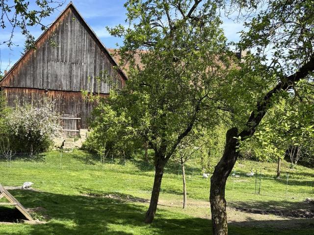 Charmantes Bauernhaus im Dornröschenschlaf mit großem Garten in Dachsbach
