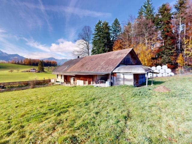 Charmantes Bauernhaus mit grossem Grundstück in Thierachern