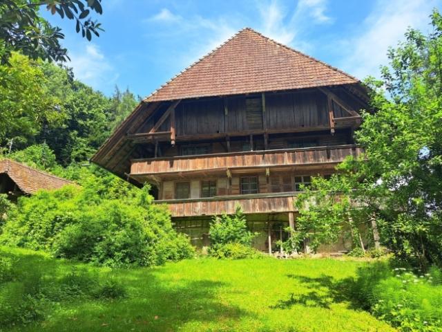 charmantes Bauernhaus mit Weideland