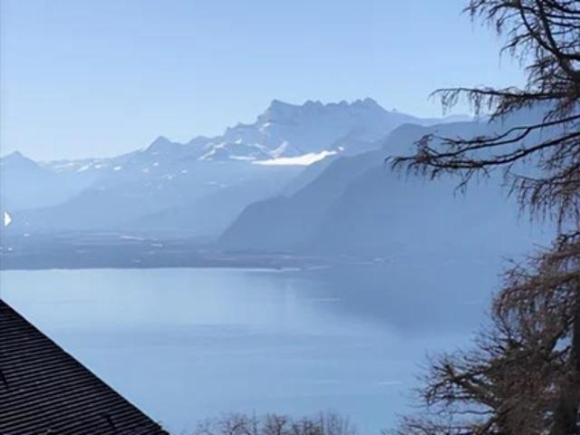 CHARMANTES CHALET AM MONT PÈLERIN MIT HERRLICHEM BLICK AUF DEN SEE
