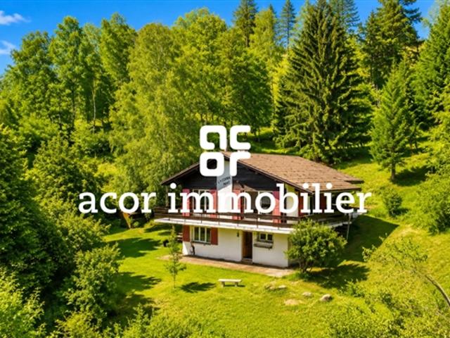 Charmantes Chalet in einer grünen Umgebung – Ruhe, Privatsphäre und Frieden