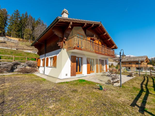 Charmantes Chalet mit Panoramablick
