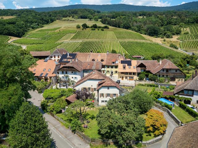 Charmantes Dorfhaus