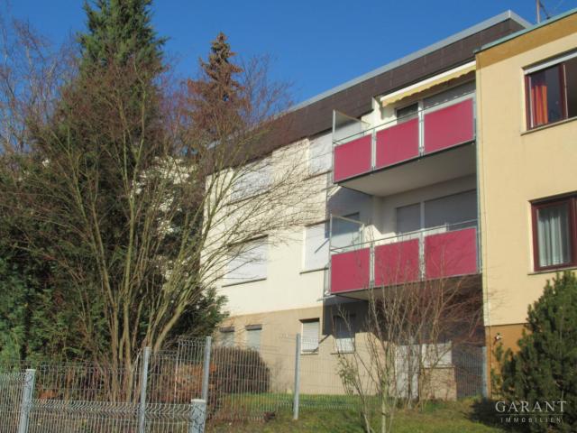 Charmantes Dreifamilienhaus mit Neckarblick!