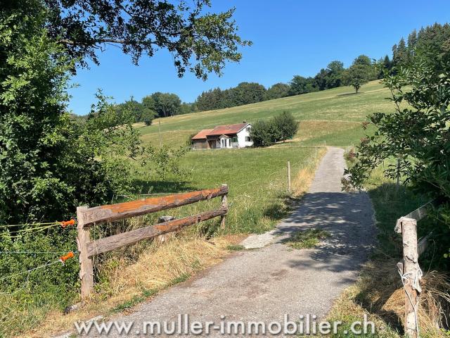 Charmantes Haus mitten in den Wiesen, in der Nähe von Romont
