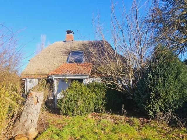 Charmantes, historisches Reetdachhaus auf großem Grundstück mit optionalem Bauplatz in Dänschendorf