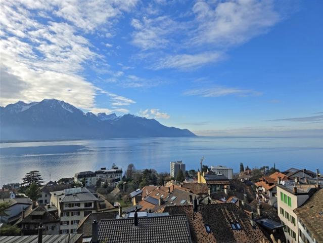 Charmantes, renoviertes Dorfhaus mit 3 Wohnungen, sehr schöne Aussicht!