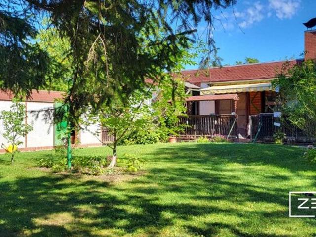 Charmantes Sommerhaus mit Potenzial in Pottendorf | ZELLMANN IMMOBILIEN