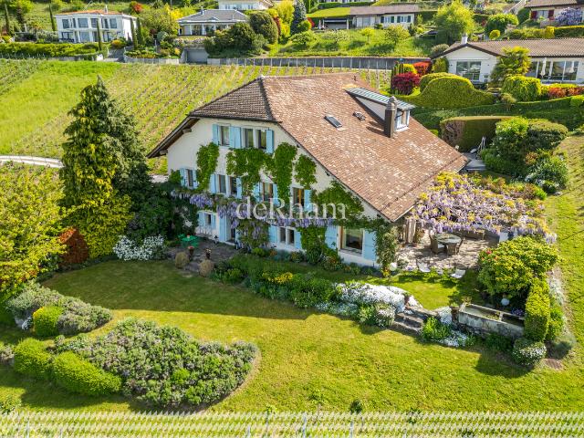 Charmantes Winzerhaus Im Herzen der Weinberge Blick auf den Genfersee