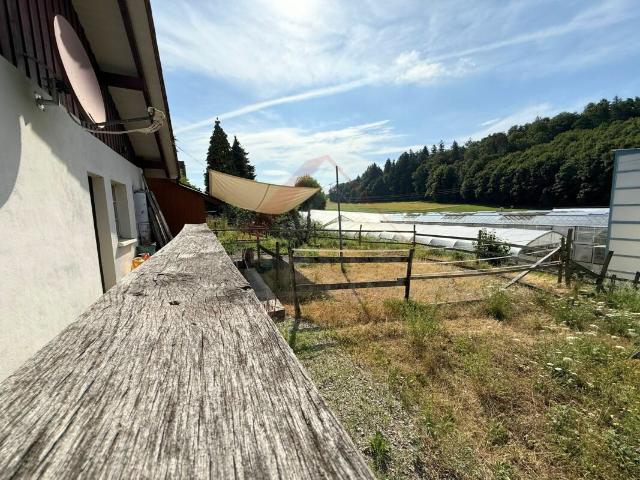 Charmantes 4.5 Zimmer Bauernhaus mit Weitsicht in Wildensbuch