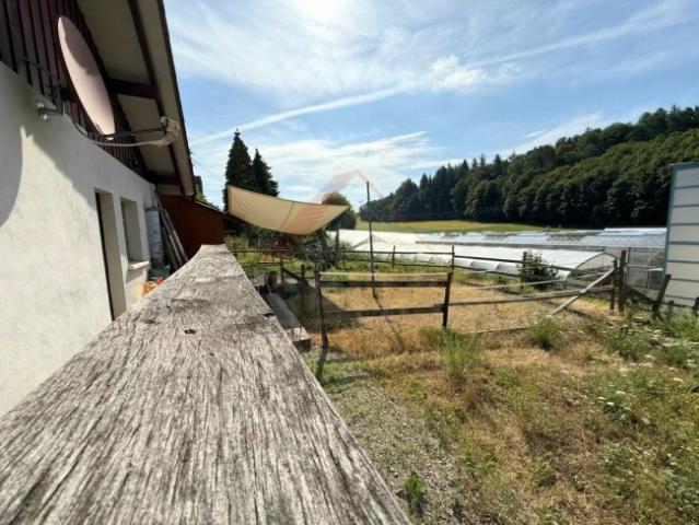 Charmantes 4.5 Zimmer Bauernhaus mit Weitsicht in Wildensbuch