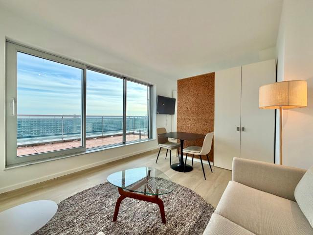 Charmille 20 15e Penthouse