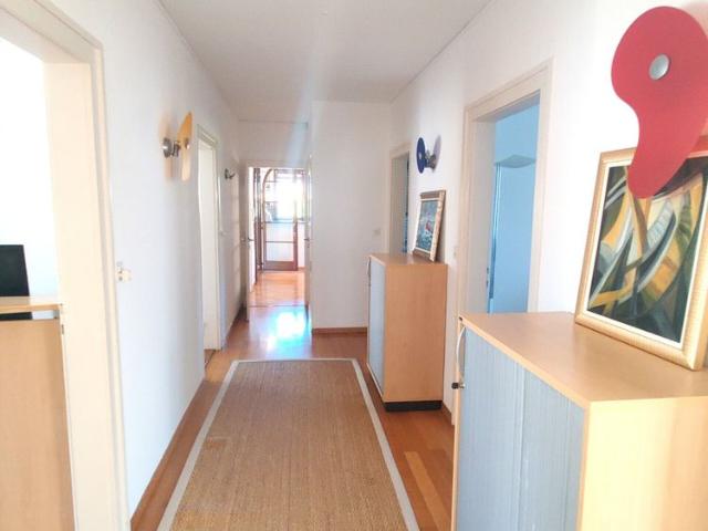 Charming 5 room apartment in Plan les Ouates