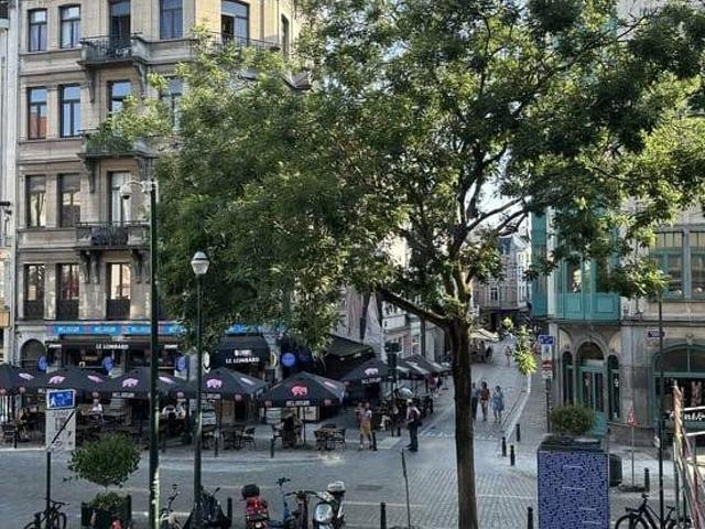 Charming 1 Bed Apt, Brussels Centre 1000