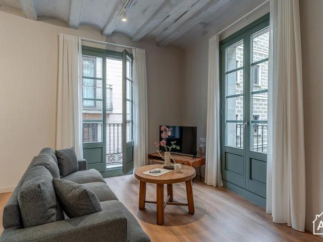 Charming 1 Bedroom Apartment in Las Ramblas