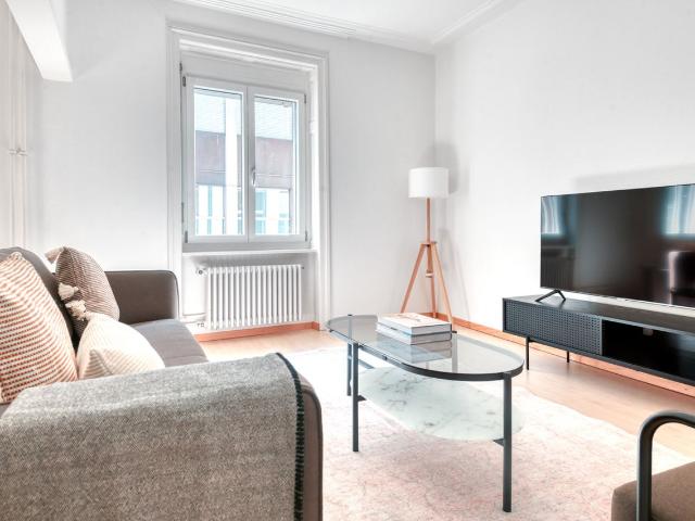 Charming 1 Bedroom Furnished Apartment in Altstadt Grossbasel, Basel Amsterdam Apartments for Rent