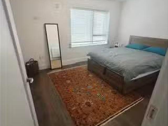 Charming 1 BR Room in shared flat for rent, Dublin
