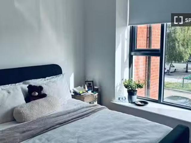 Just in! 1 BR Room in shared flat for rent in Dublin