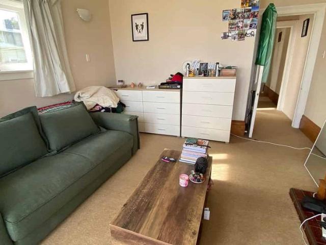 Charming 1bdrm Flat in Aro Valley