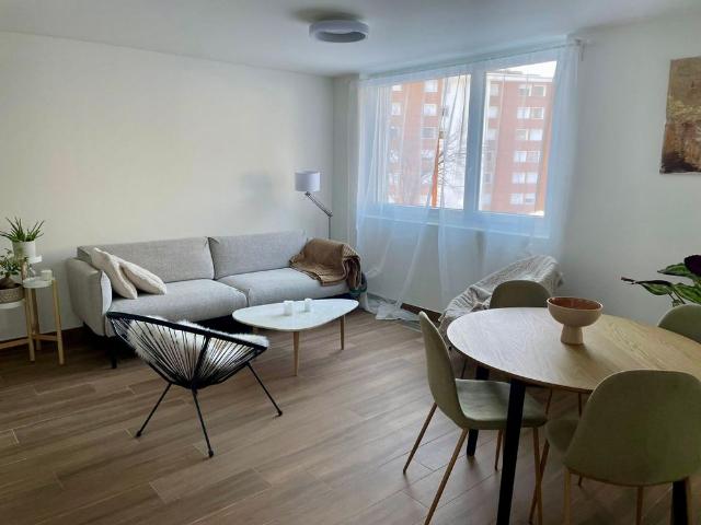 Charming 2.5 room apartment for rent year round