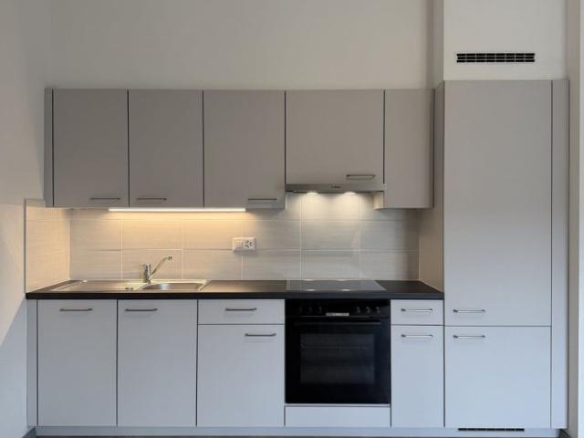 Charming 2.5 room renovated apartment on the 4th floor