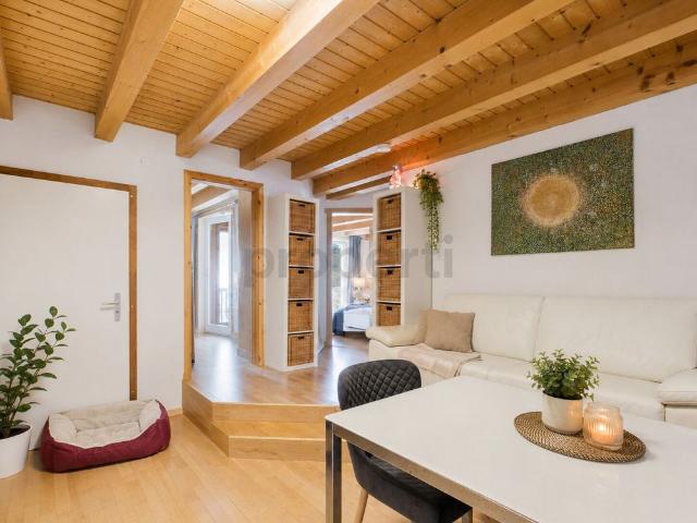 Charming 3 room apartment near school, Pfyn