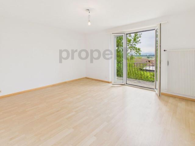 Charming 3 room apartment with balcony, ins