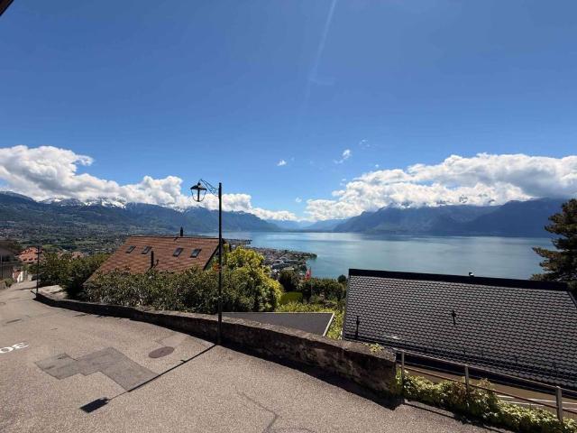 Charming 3.5 room apartment with lake view