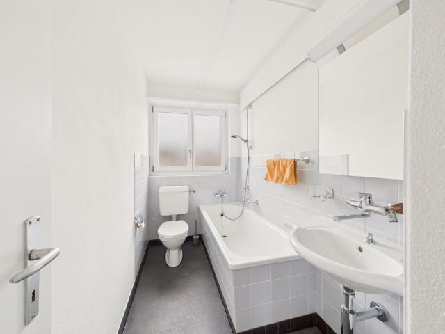 Charming 3.5 room apartment with sunny conservatory