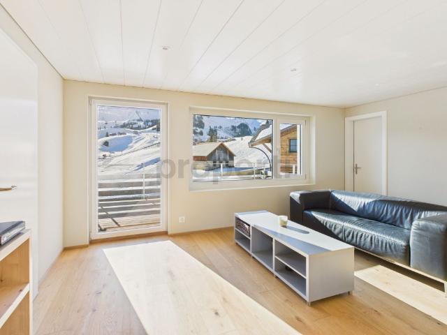 Charming 3.5 room furnished apartment with mountain view in Stoos SZ