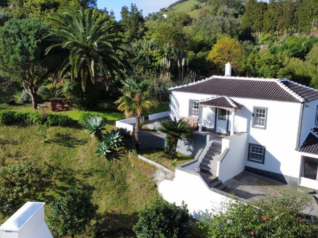 Charming T3+1 Property with Large Garden and Additional Buildings