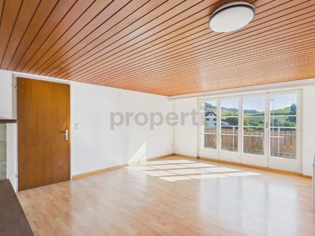 Charming and light filled apartment with a beautiful balcony, including a parking space