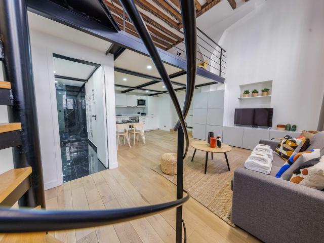 Charming Apartment Steps Away from Musée d'Orsay and Esplanade des Invalides, Paris Amsterdam Apartments for Rent