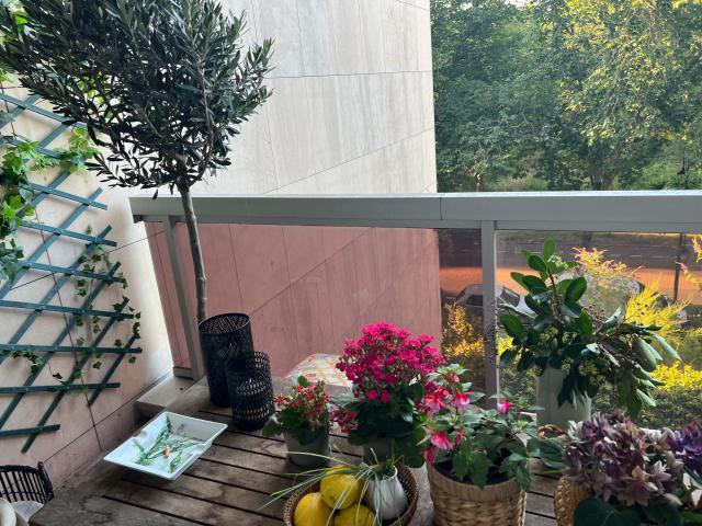 Charming, bright home, Boulogne Billancourt